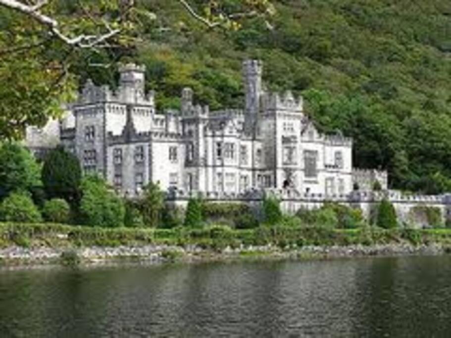 Clonbur House - One Bedroom Apartment Galway Dış mekan fotoğraf